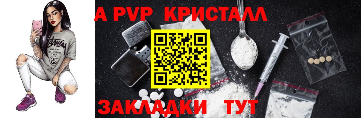 Alfa_PVP СК КРИС Дубна