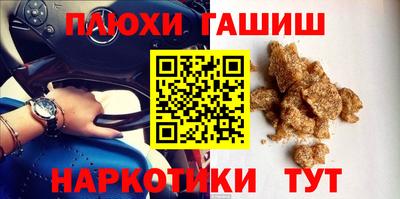 кокс Гатчина