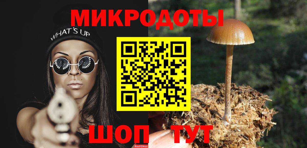 Галлюциногенные грибы MAGIC MUSHROOMS  Вход с VPN  что такое   Дубна 