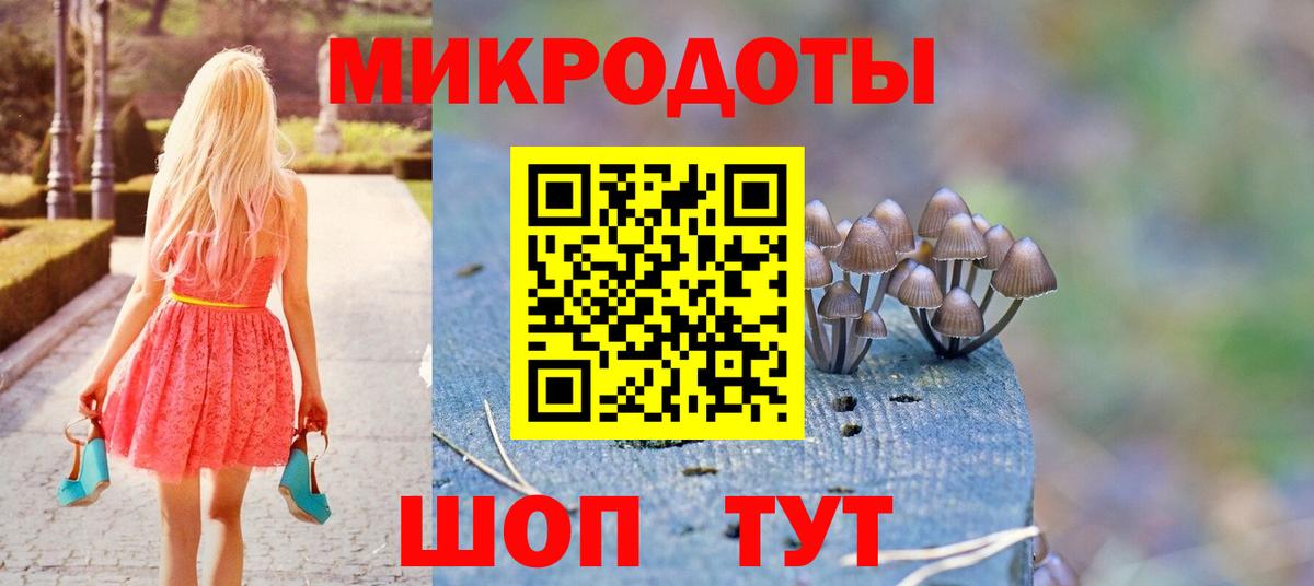 Галлюциногенные грибы Psilocybine cubensis Дубна